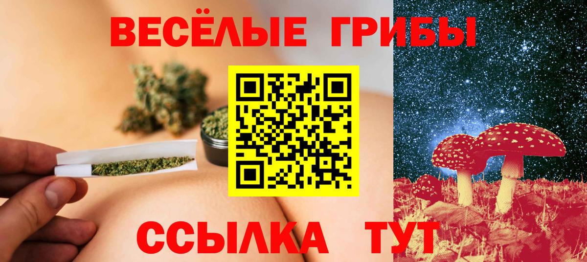 Галлюциногенные грибы прущие грибы  Псилоцибиновые грибы GOLDEN TEACHER  цены   Знаменск  Вход с VPN 