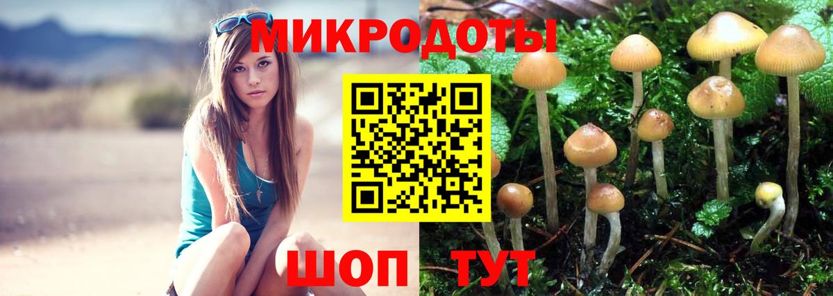 Галлюциногенные грибы мухоморы Знаменск